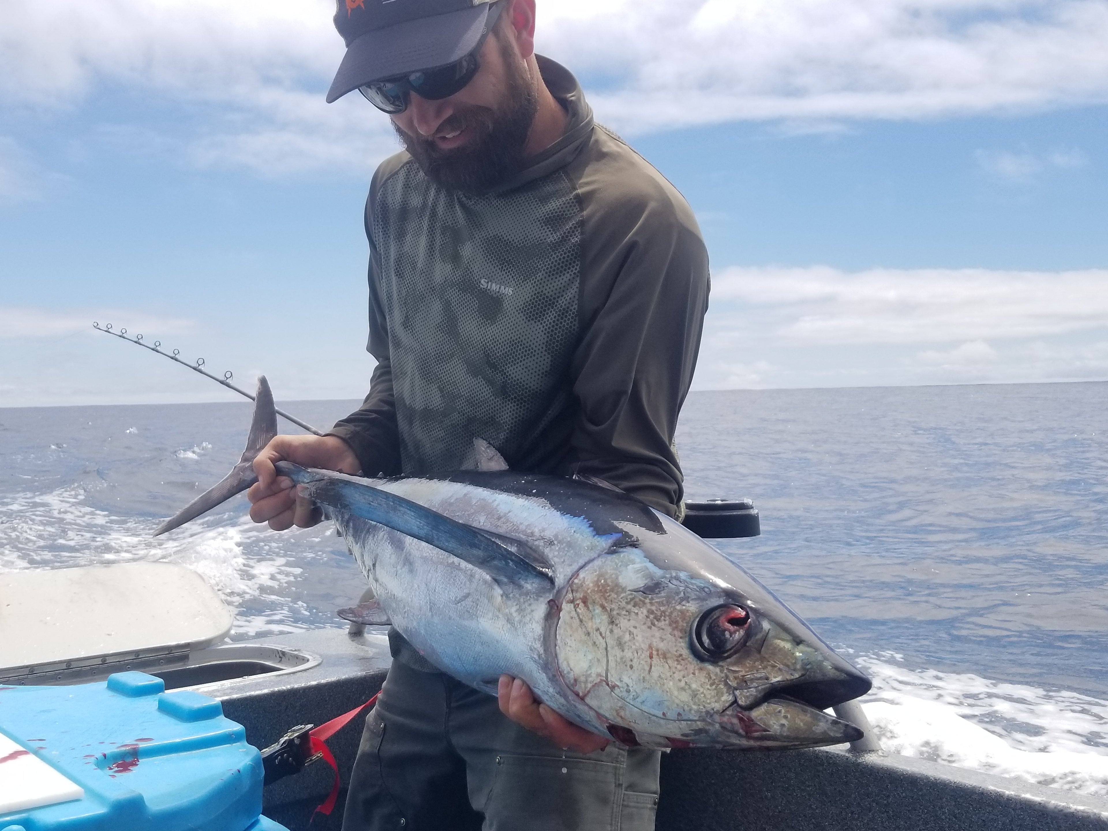 1 Case Albacore Tuna (24) 7.75 Oz. cans